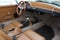 1956 Porsche Speedster Vintage Replica