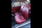 1960 Porsche 356B T5