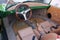 1957 Porsche Speedster Re-Creation