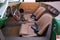 1957 Porsche Speedster Re-Creation