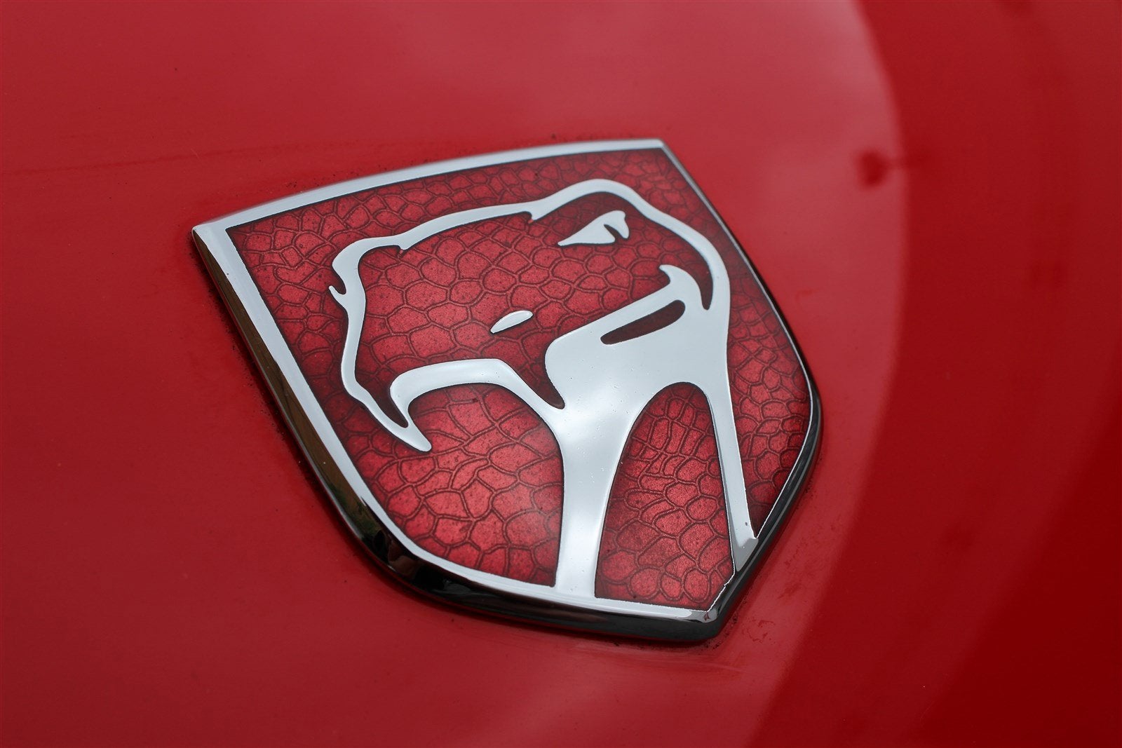 2002 Dodge Viper GTS
