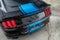 2019 Ford Mustang Shelby Supersnake Shadow Black