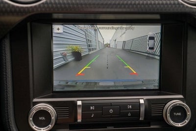 2019 Ford Mustang Shelby Supersnake Shadow Black