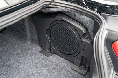 2019 Ford Mustang Shelby Supersnake Shadow Black