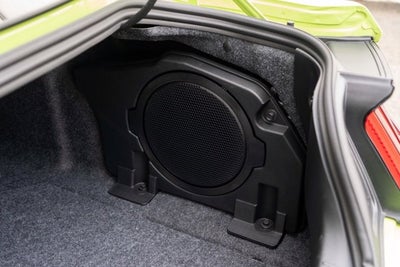 2020 Ford Mustang Shelby Super Snake Bold