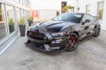 2019 Ford Mustang Shelby GT350R