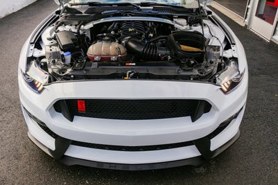 2019 Ford Mustang Shelby GT350R