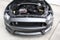 2017 Ford Mustang Shelby GT350