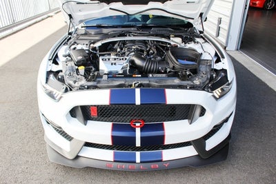 2019 Ford Mustang Shelby GT350R