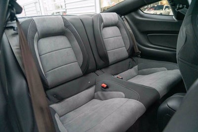 2019 Ford Mustang Shelby GT350