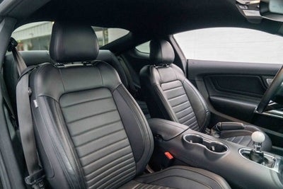 2019 Ford Mustang Bullitt