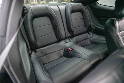 2019 Ford Mustang Bullitt