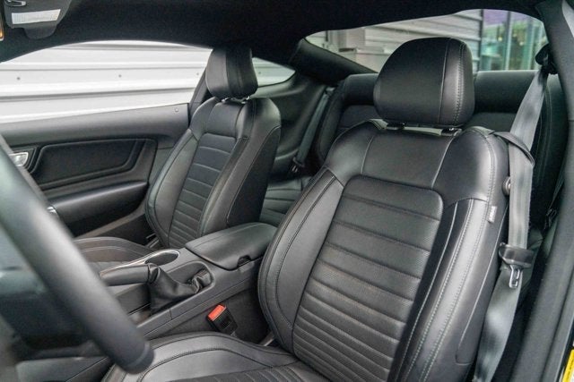2019 Ford Mustang Bullitt