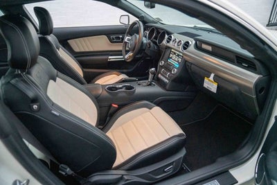 2015 Ford Mustang GT 50 Years Limited Edition