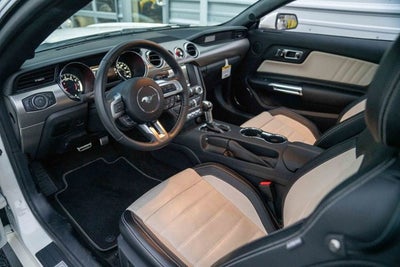 2015 Ford Mustang GT 50 Years Limited Edition