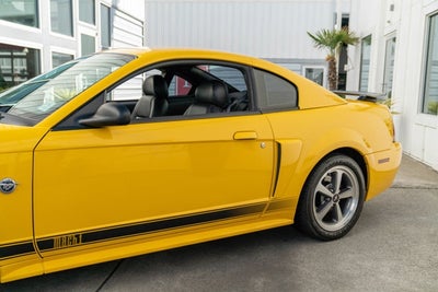 2004 Ford Mustang Premium Mach 1