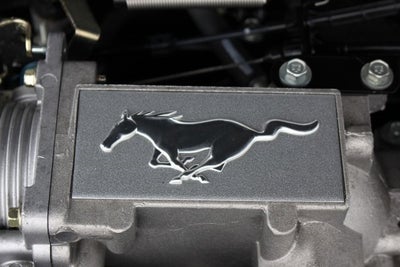 2004 Ford Mustang GT Convertible 40th Anniversary