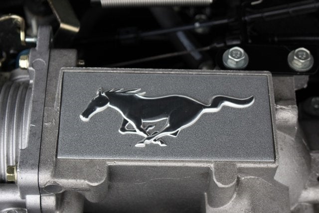 2004 Ford Mustang GT Convertible 40th Anniversary