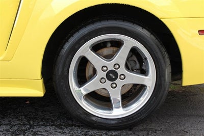 2001 Ford Mustang SVT Cobra