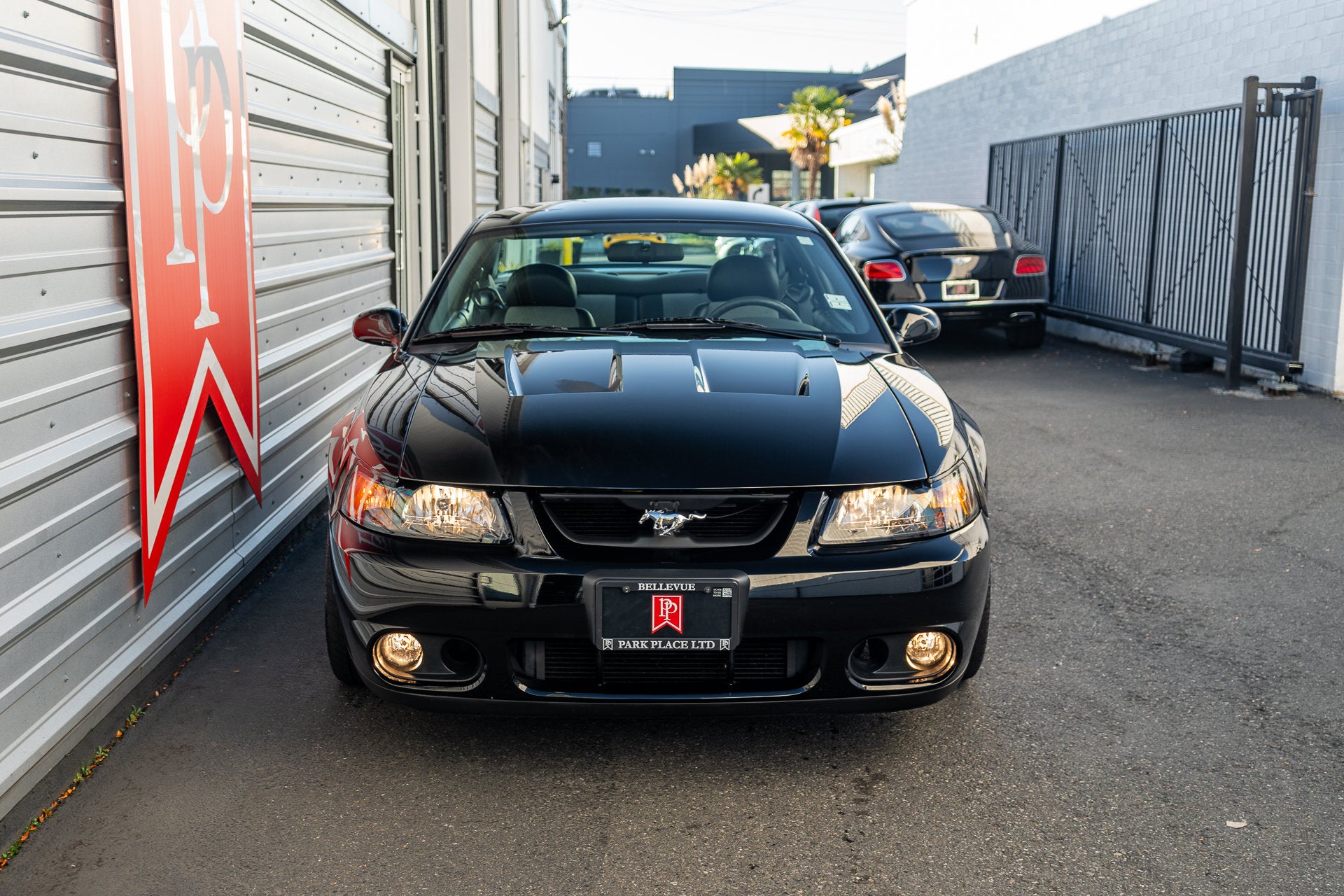 2003 Ford Mustang SVT Cobra