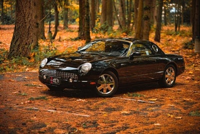 2002 Ford Thunderbird w/Hardtop Premium