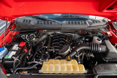 2020 Ford F-150 Shelby