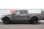 2018 Ford F-150 Raptor Park Place Limited Edition #002