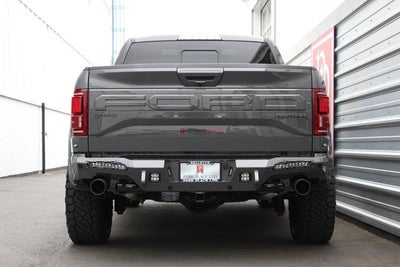 2018 Ford F-150 Raptor Park Place Limited Edition #002