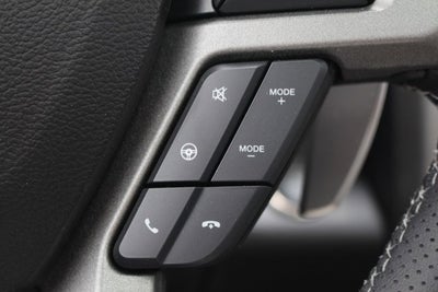 2018 Ford F-150 Raptor Park Place Limited Edition #002