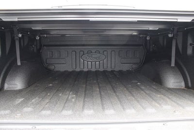 2018 Ford F-150 Raptor Park Place Limited Edition #002