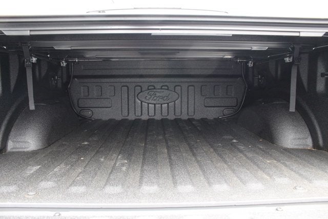 2018 Ford F-150 Raptor Park Place Limited Edition #002