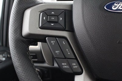 2018 Ford F-150 Raptor Park Place Limited Edition #006