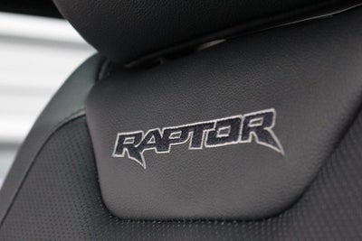 2018 Ford F-150 Raptor Park Place Limited Edition #004