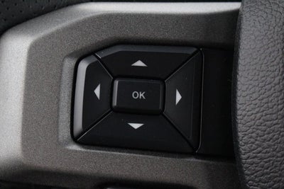 2018 Ford F-150 Raptor Park Place Limited Edition #004