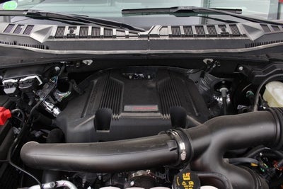 2018 Ford F-150 Raptor Park Place Limited Edition #004