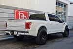 2017 Ford F-150 Raptor 'Stormtrooper Edition'