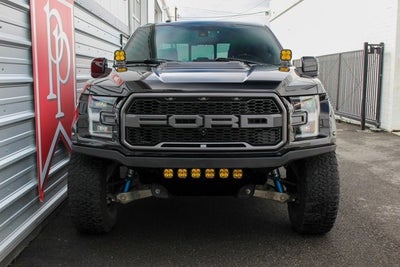 2017 Ford F-150 Raptor