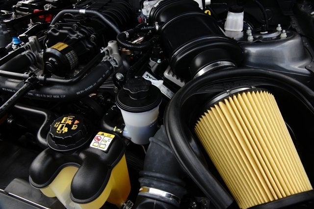 2010 Ford Shelby Mustang GT500 Coupe