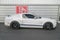 2014 Ford Mustang Shelby GT500
