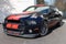2013 Ford Mustang Shelby GT500