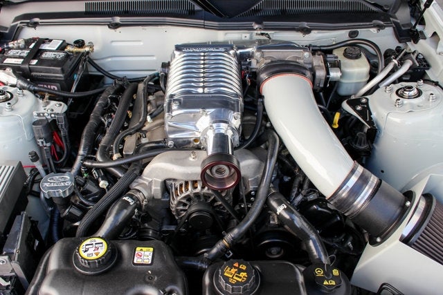 2005 Ford Mustang GT 'Full Metal Jacket' by H-R