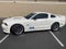2007 Ford Mustang S281 Saleen