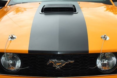 2007 Ford Saleen Mustang GT Parnelli Jones 302 Limited Edition