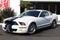 2008 Ford Mustang Shelby GT500