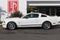 2008 Ford Mustang Shelby GT500