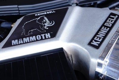 2007 Ford Mustang Shelby GT500