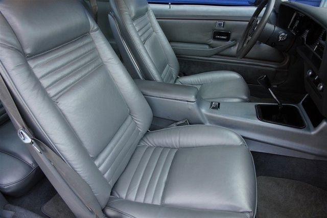 1979 Pontiac Firebird Trans Am 6.6 10th Anniversary Edition