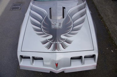 1979 Pontiac Firebird Trans Am 6.6 10th Anniversary Edition