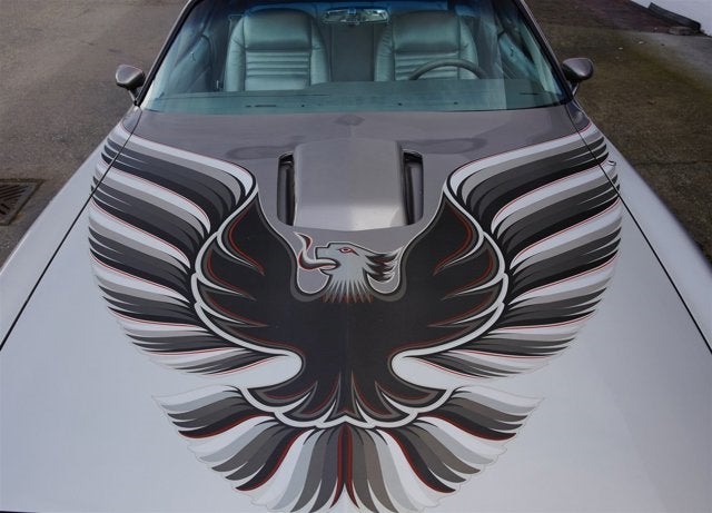 1979 Pontiac Firebird Trans Am 6.6 10th Anniversary Edition