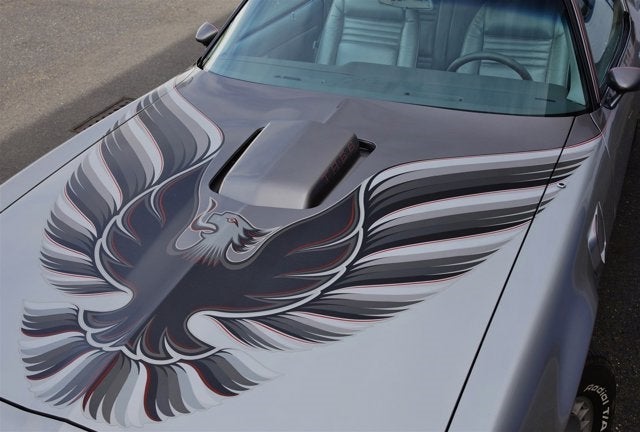 1979 Pontiac Firebird Trans Am 6.6 10th Anniversary Edition